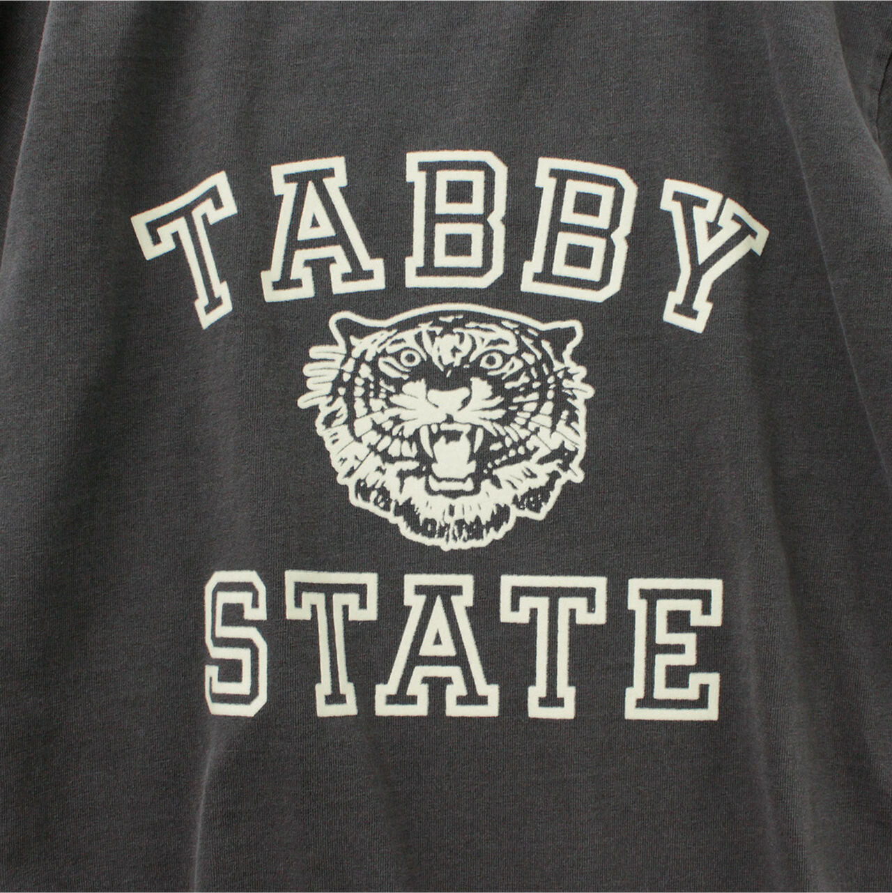 Tabby State T-Shirt,, large image number 9