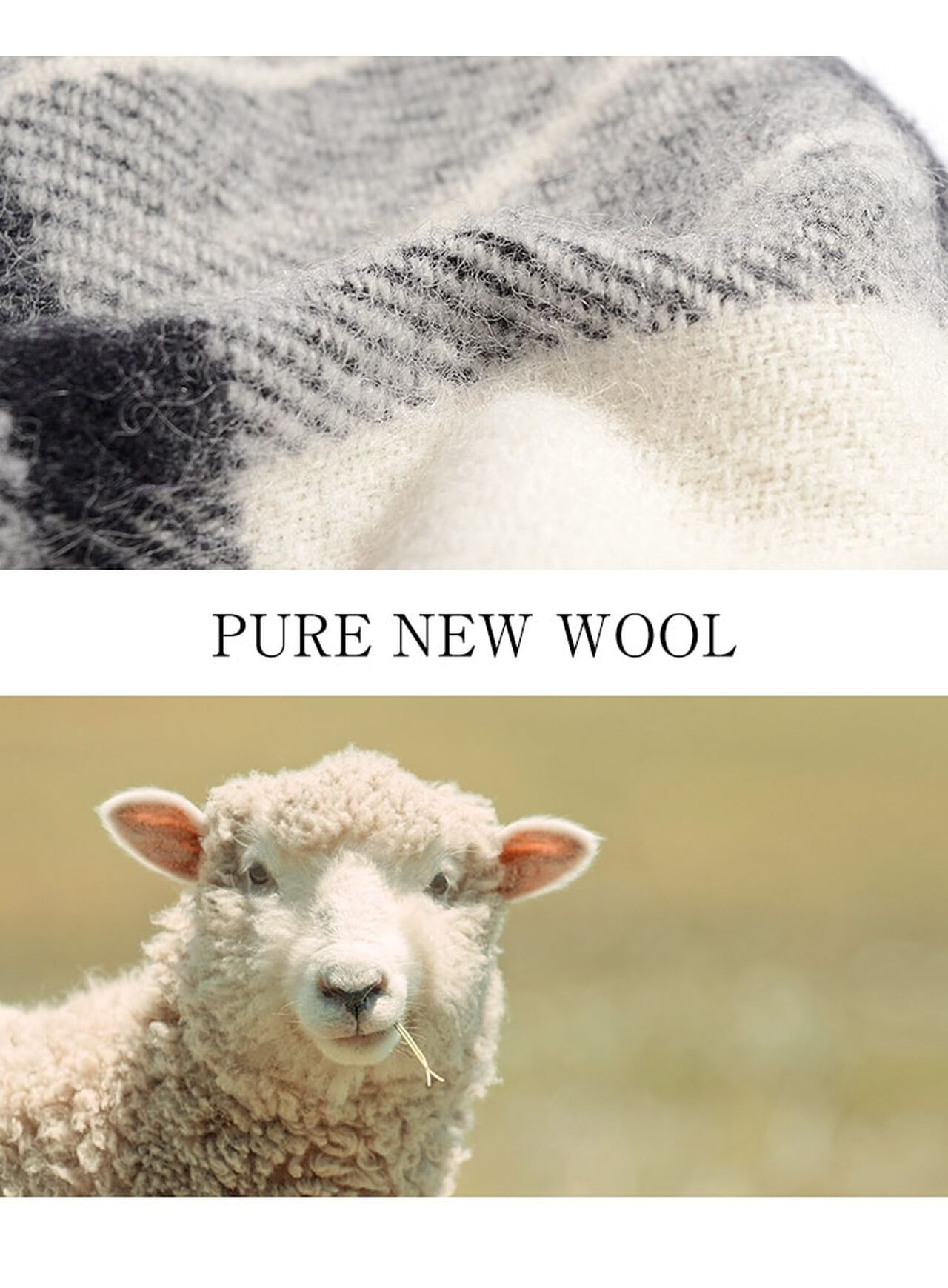 Tartan Check Wool Knee Rug,, large image number 10