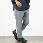 Ankle Pants,Grey, swatch