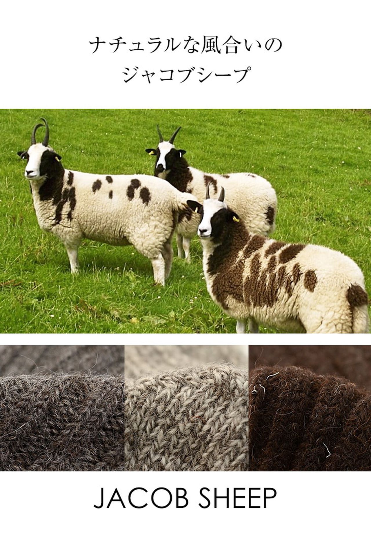 Jacob Sheep Wool Socks,, large image number 9
