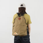 Daypack,Brown, swatch