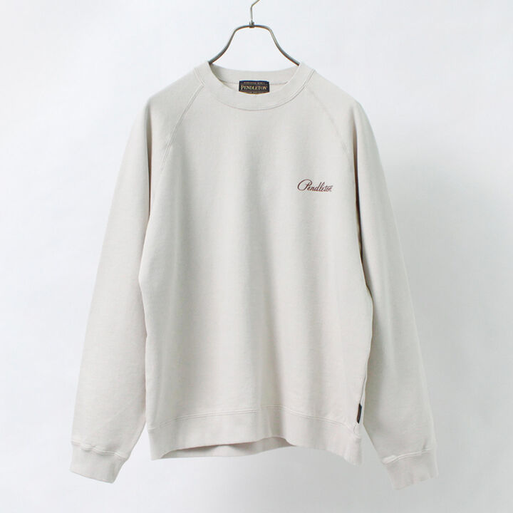 Raglan Sleeve Back Print Pullover Sweatshirt