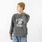 California Cougar Set-in Sleeve Crew Neck Sweatshirt Sweatshirt,VintageBlack, swatch